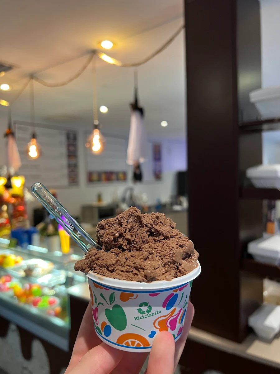 Chocolate Ice Cream