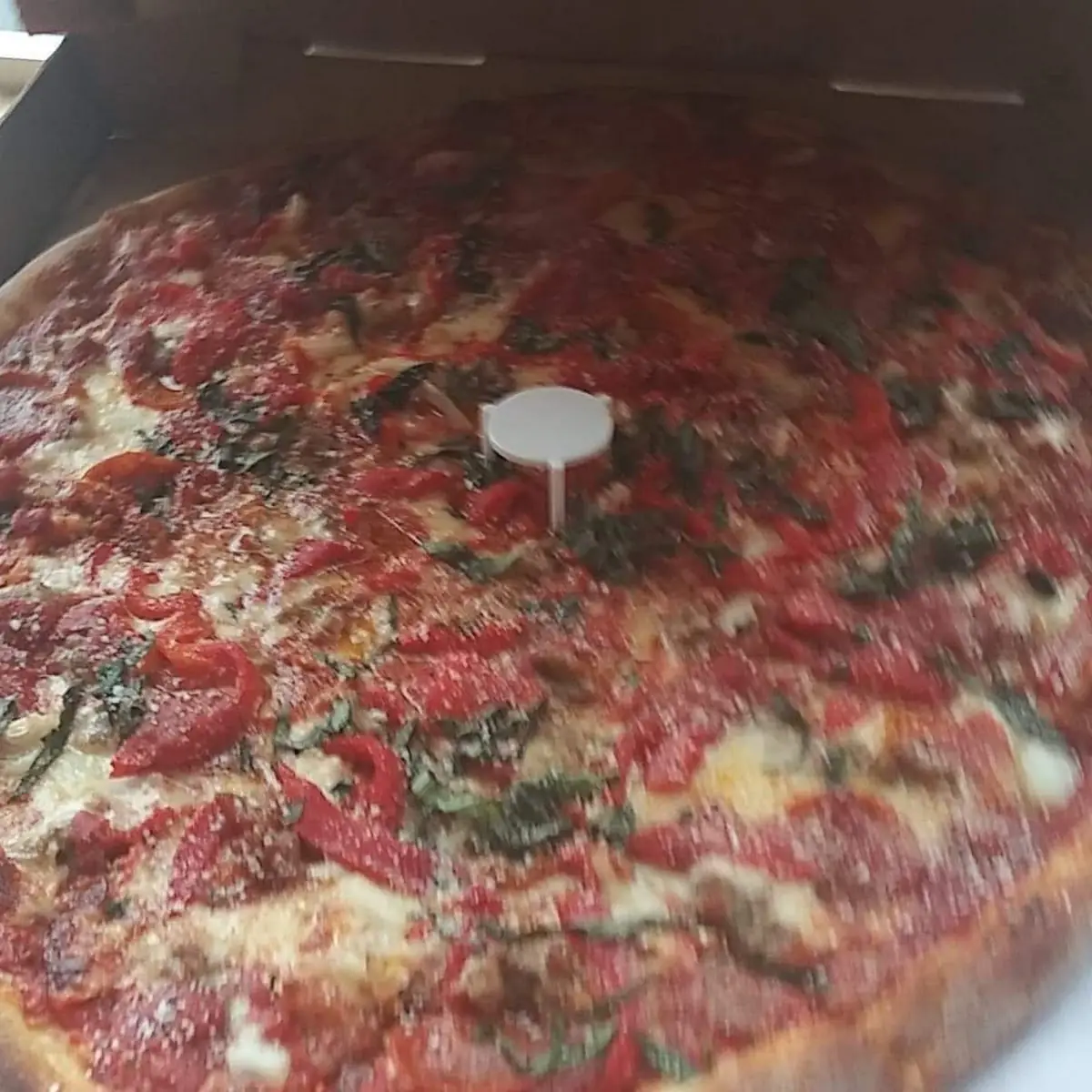 Large Specialty Pizza with Extra Sauce