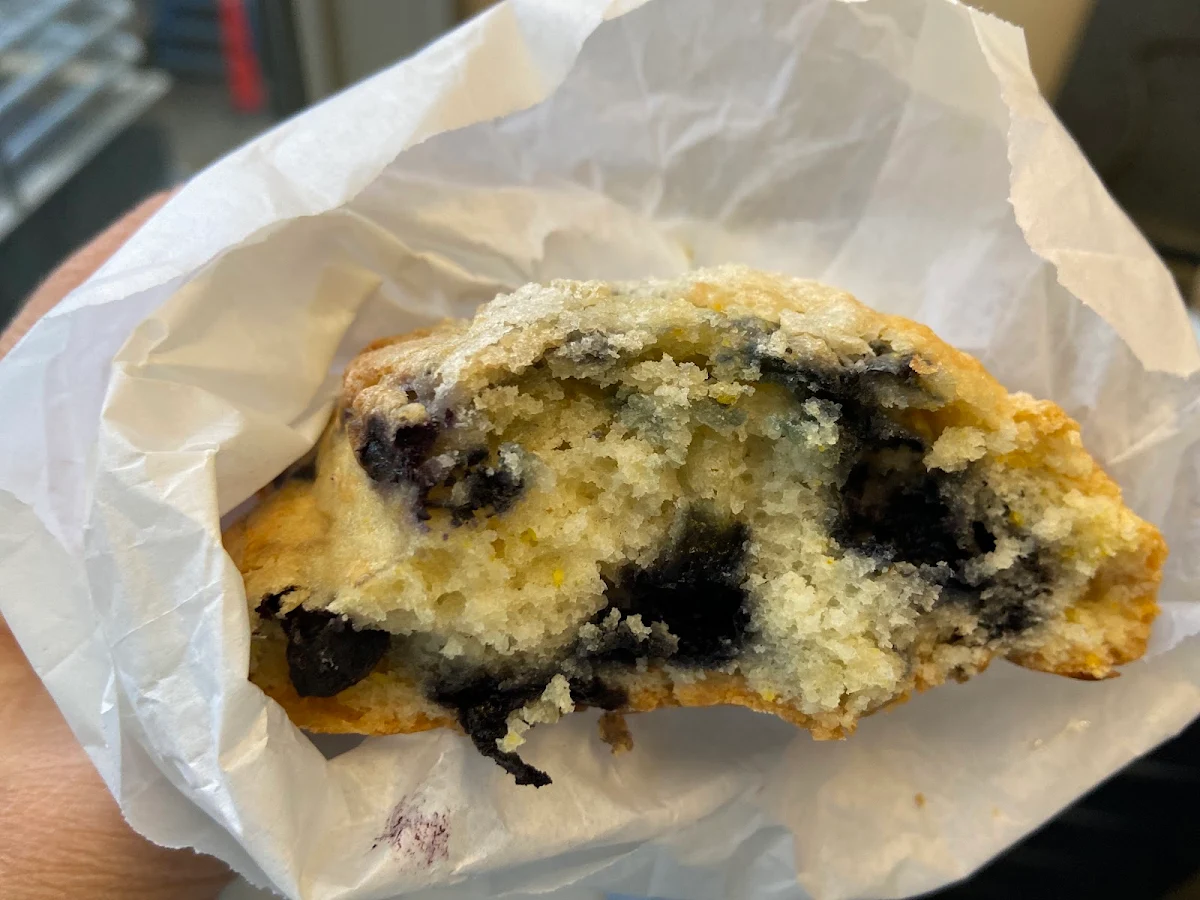 Blueberry Scone