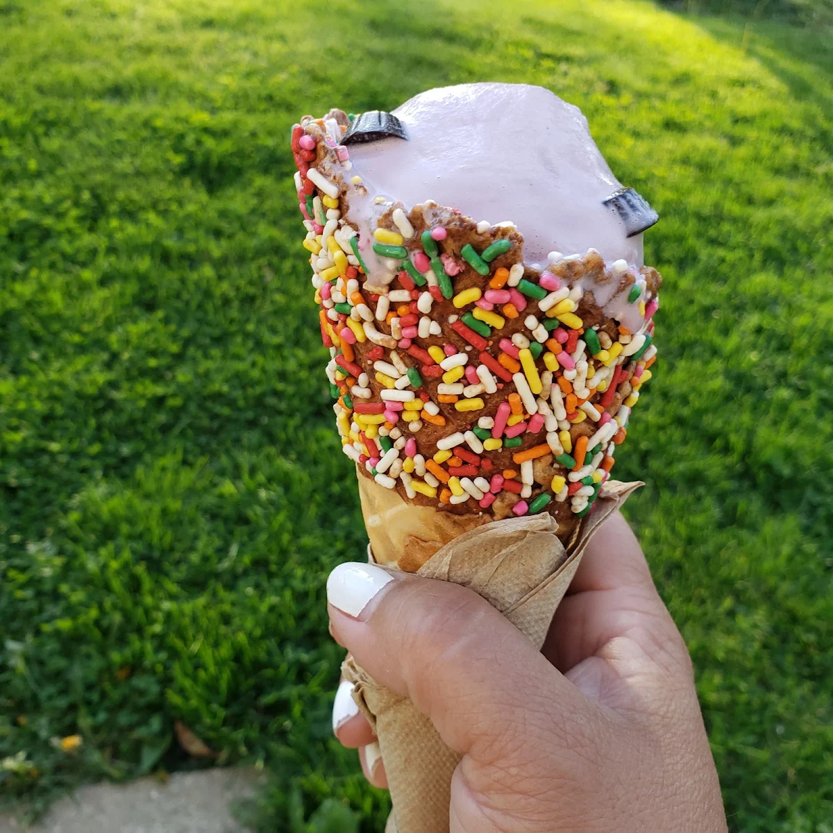 Black Cherry Ice Cream Cone