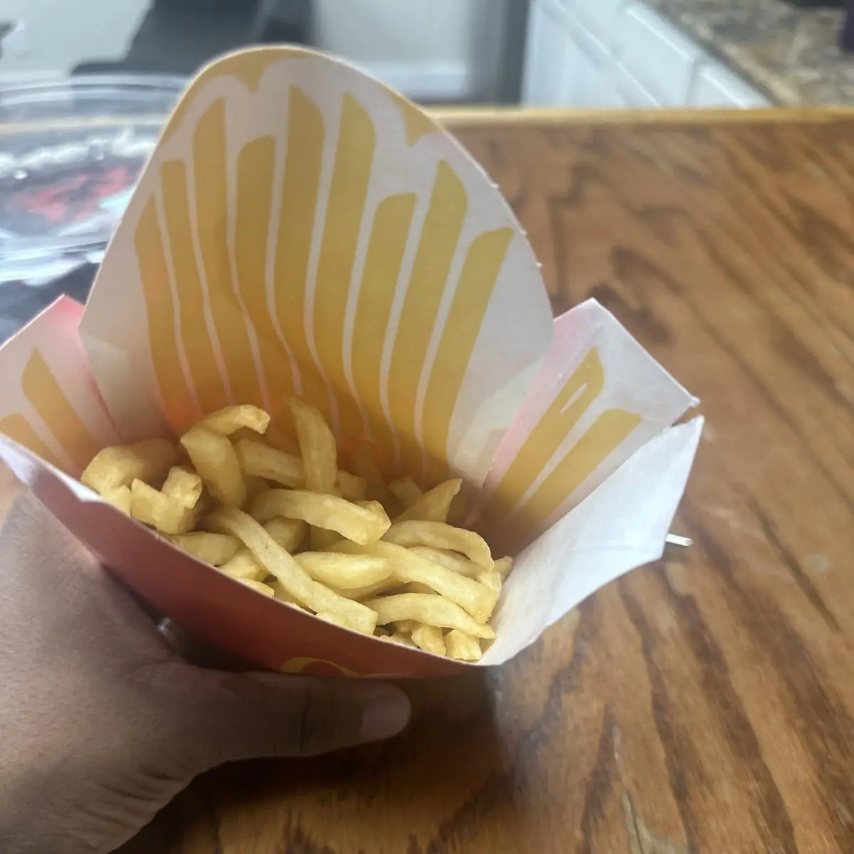 World Famous Fries