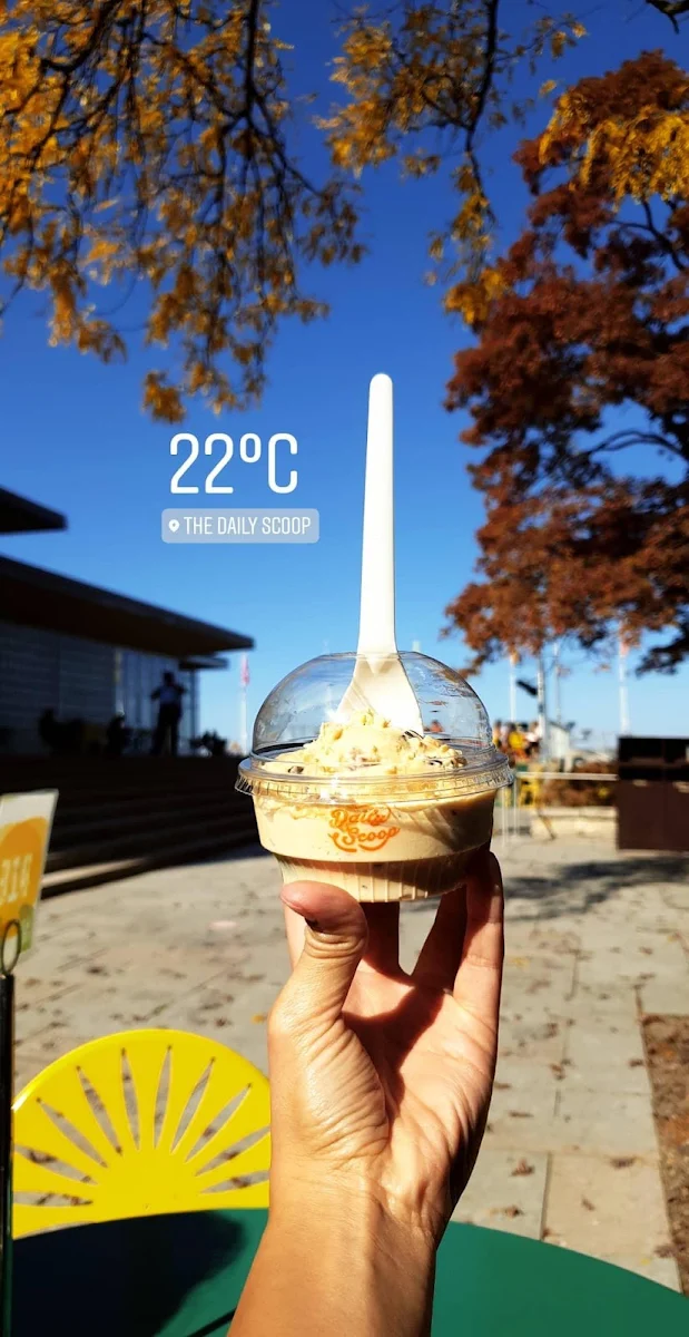 Cookie Dough Ice Cream