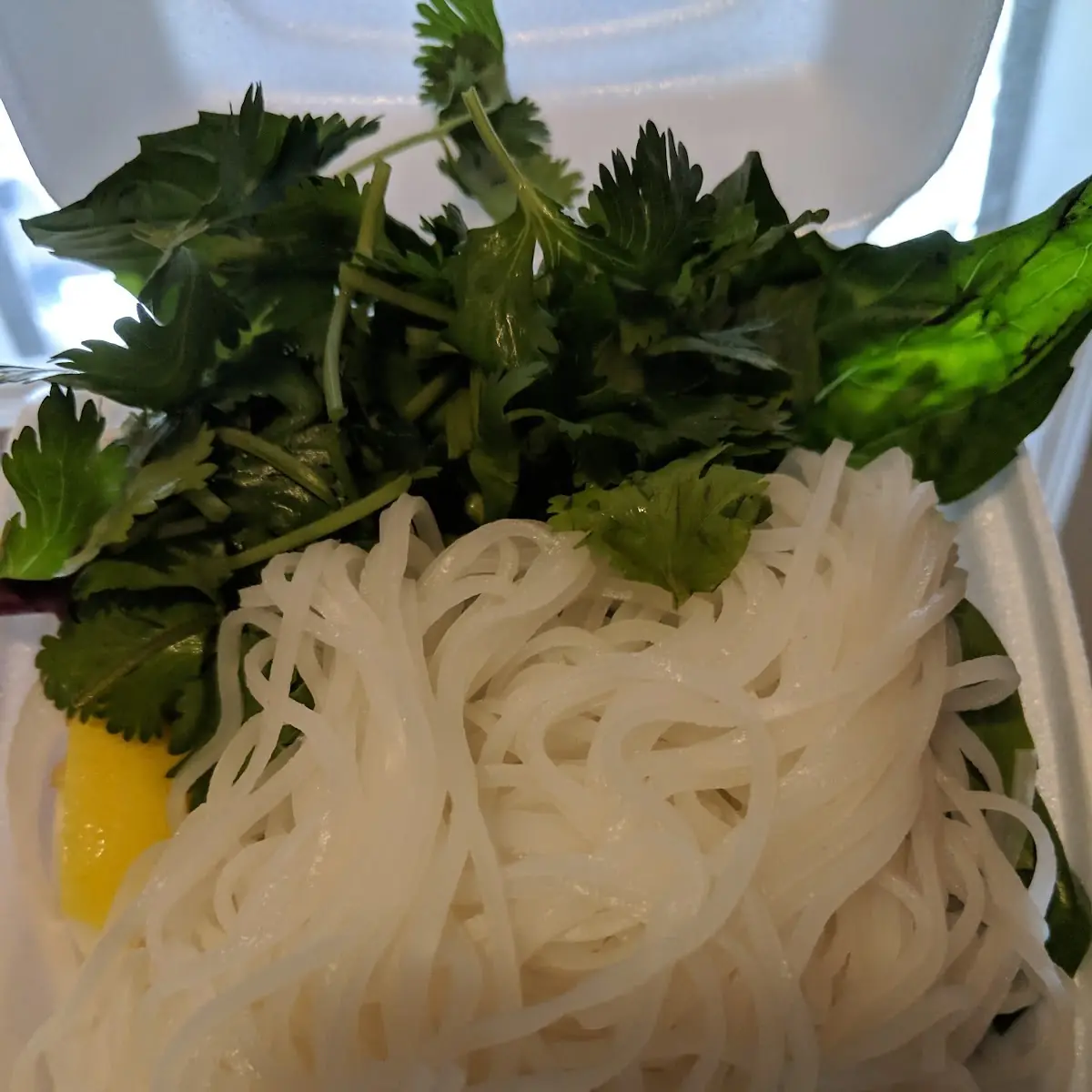 Pho Noodle