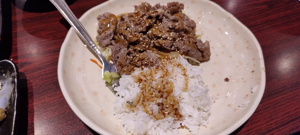Beef Teriyaki with Rice