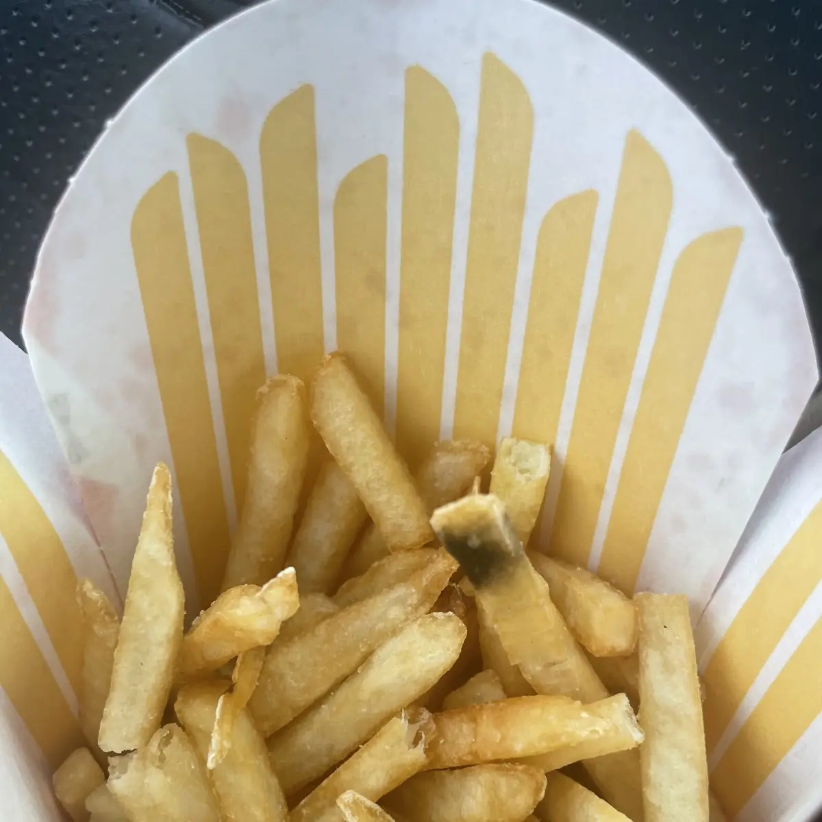 World Famous Fries