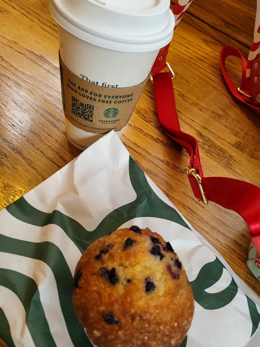 Blueberry Muffin