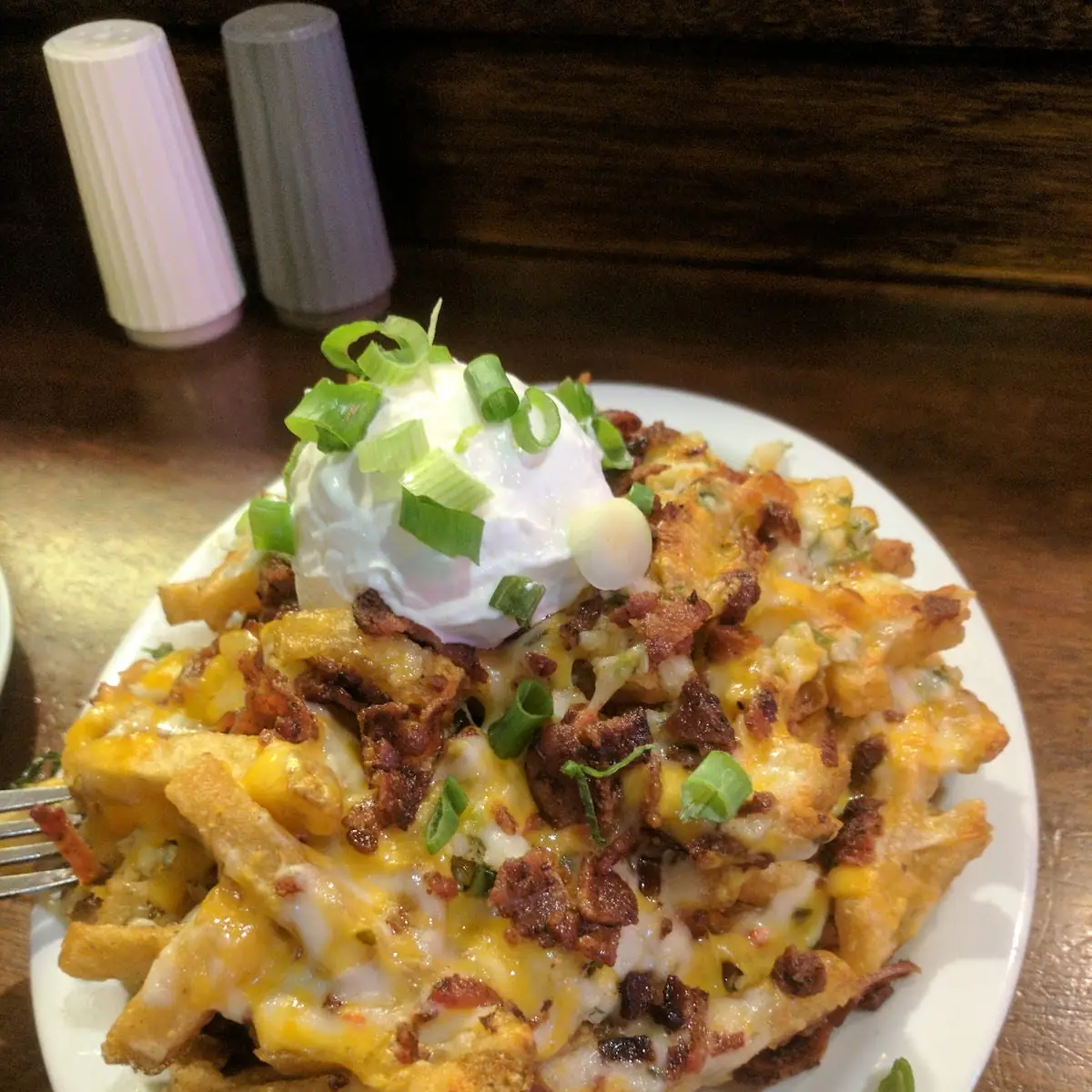Bacon Cheddar Cheese Garlic Fries