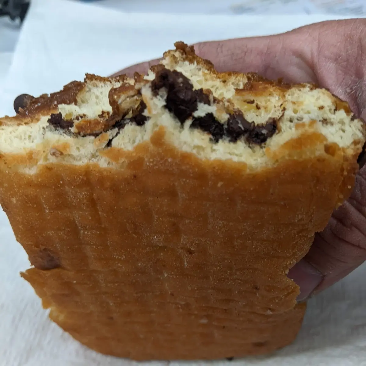 Chocolate Chip Chocolate Bar