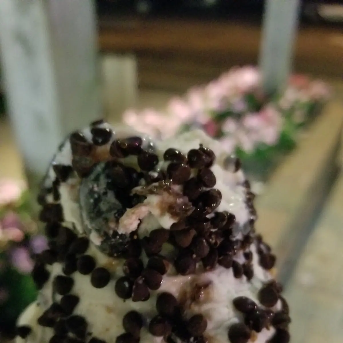 Cherry Vanilla with Chocolate Chips in Waffle Cone