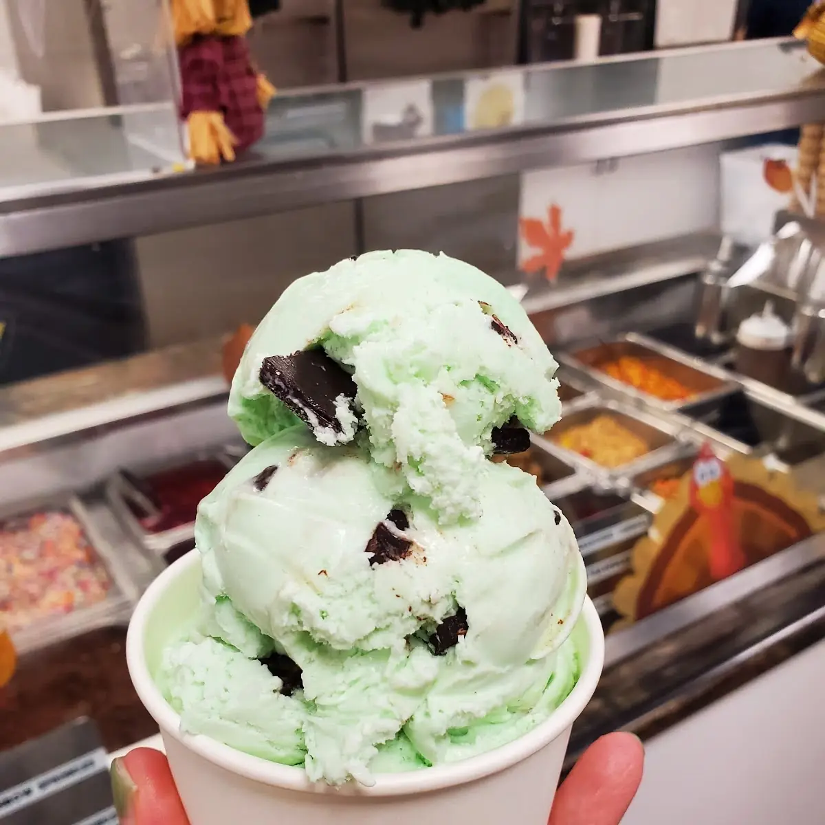 Mint Chocolate Chip
