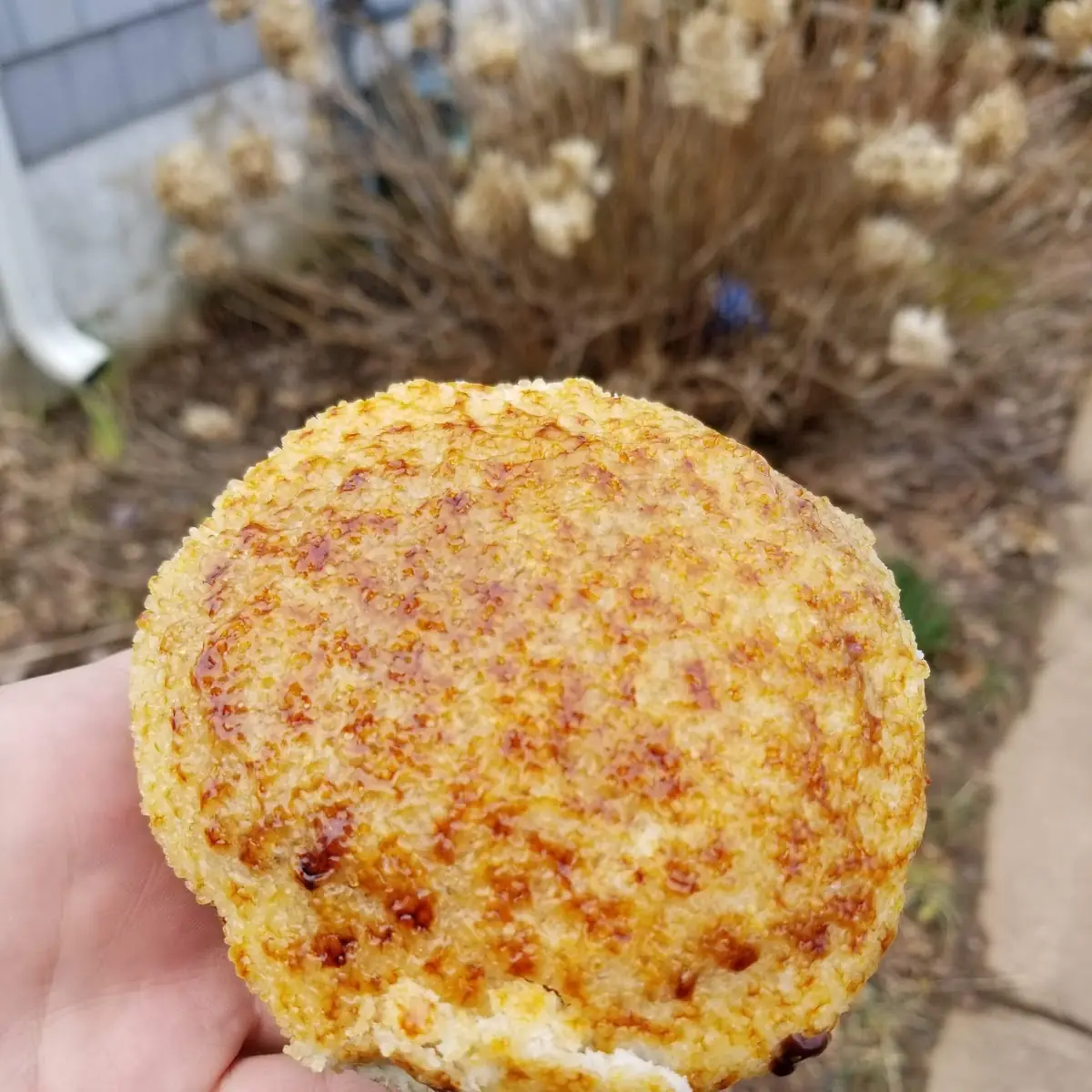Creme Brulee Donut