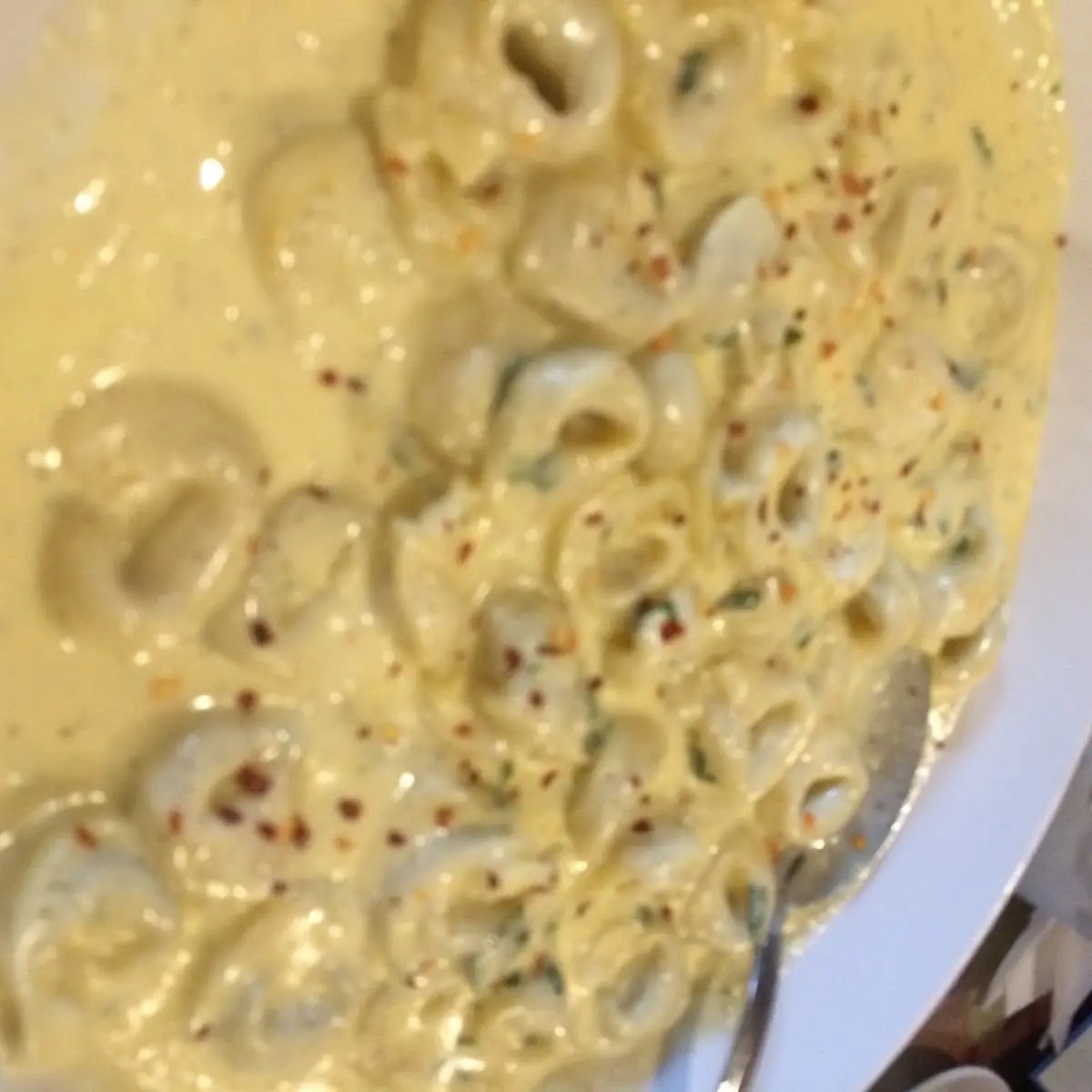 Tortellini in Alfredo Sauce