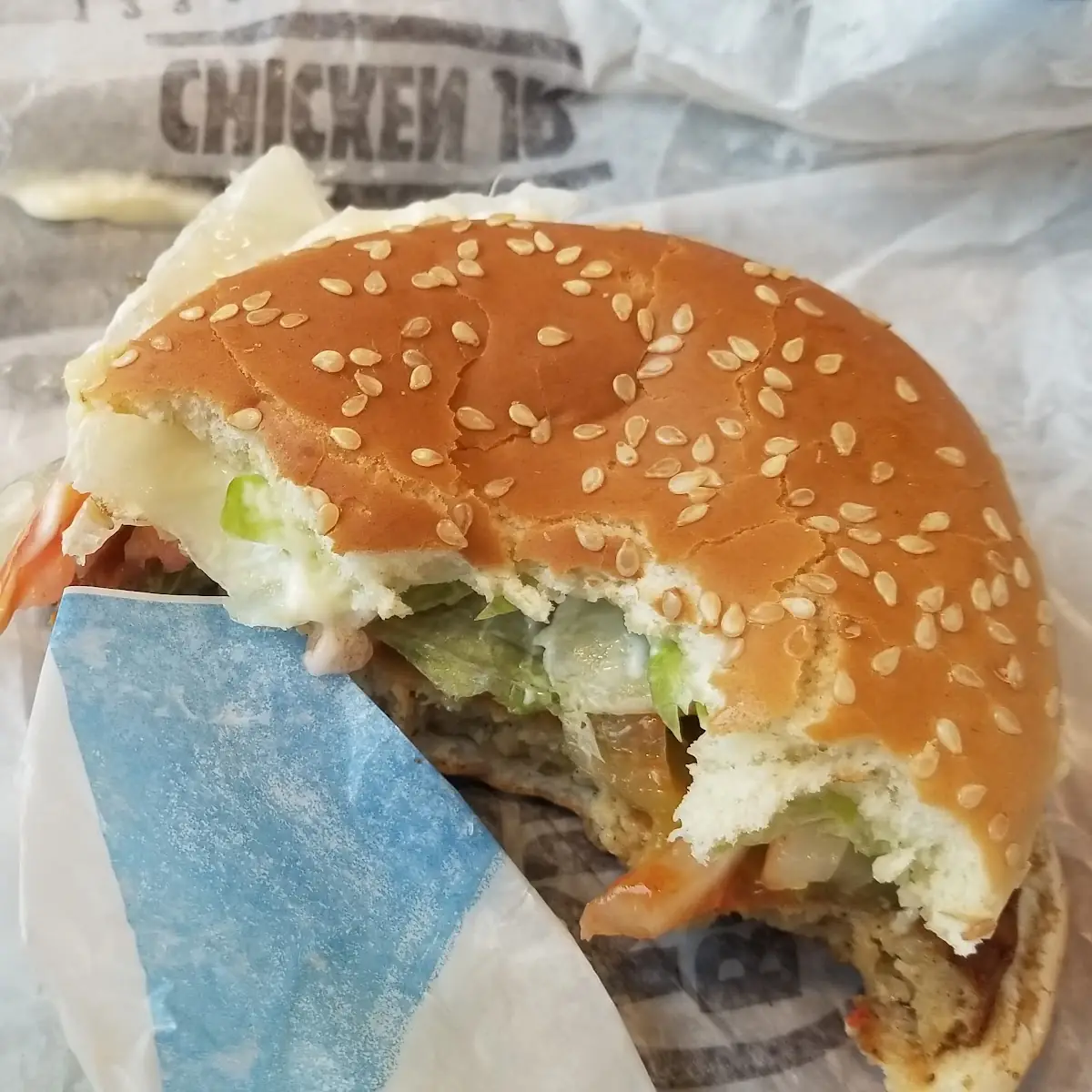 Veggie Burger