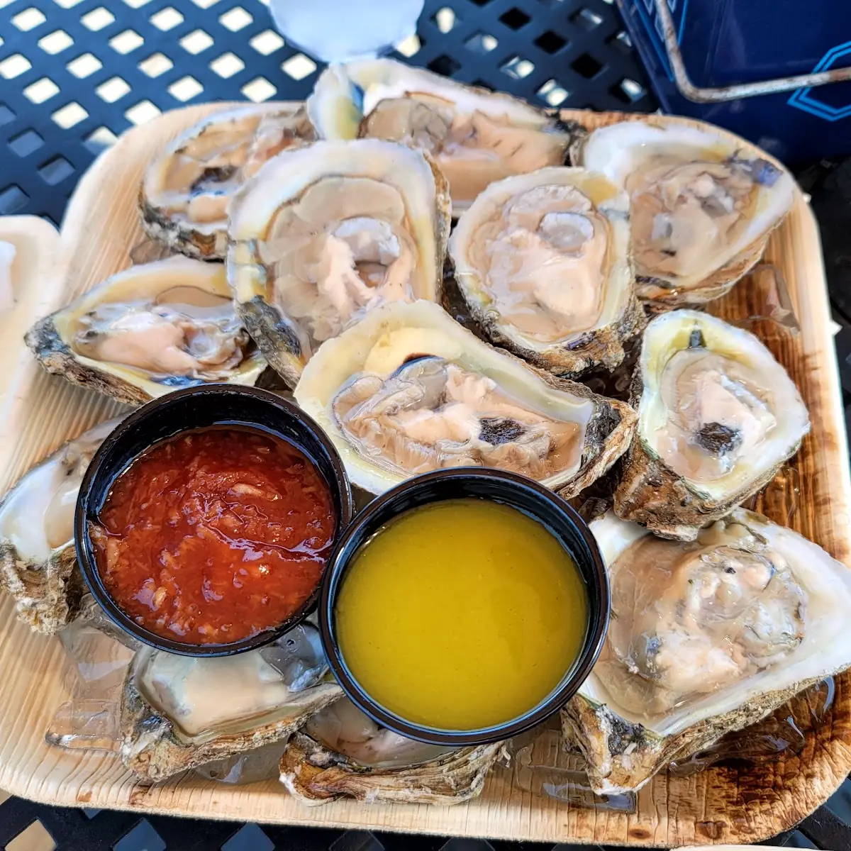 Blue Point Oysters on the Half Shell