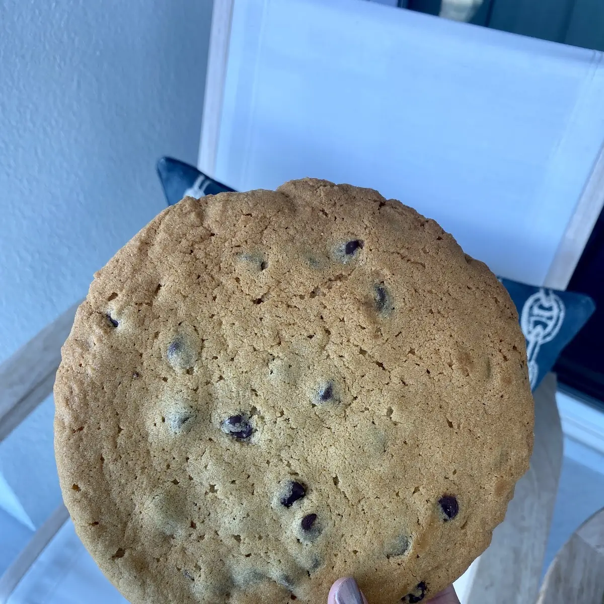 Big Chocolate Chip Cookies