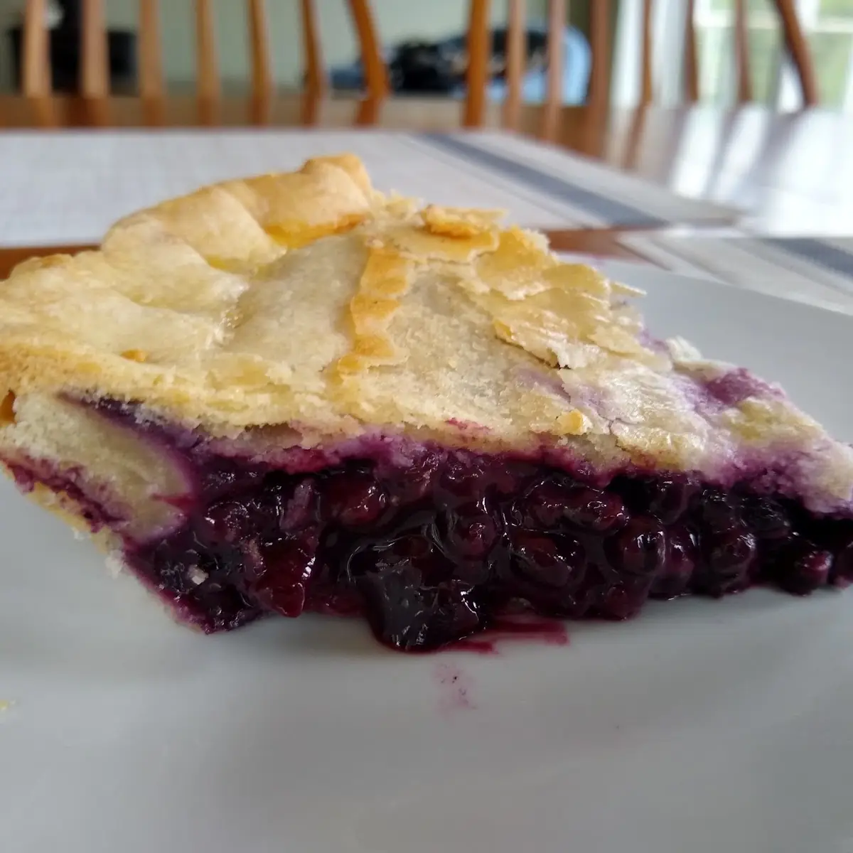 Maine Blueberry Pie