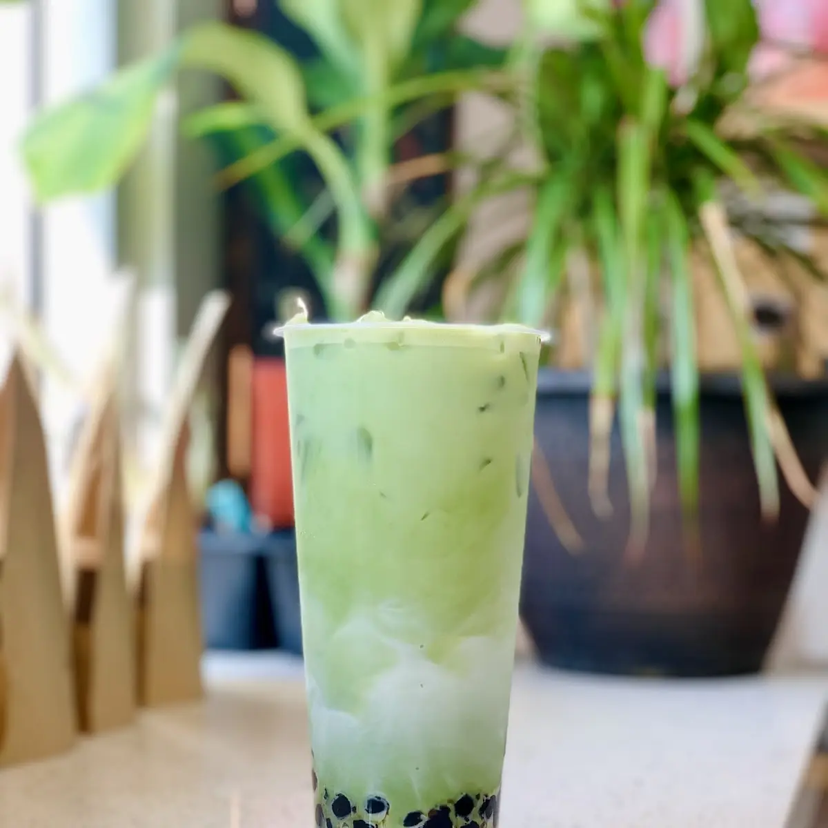 Matcha Latte
