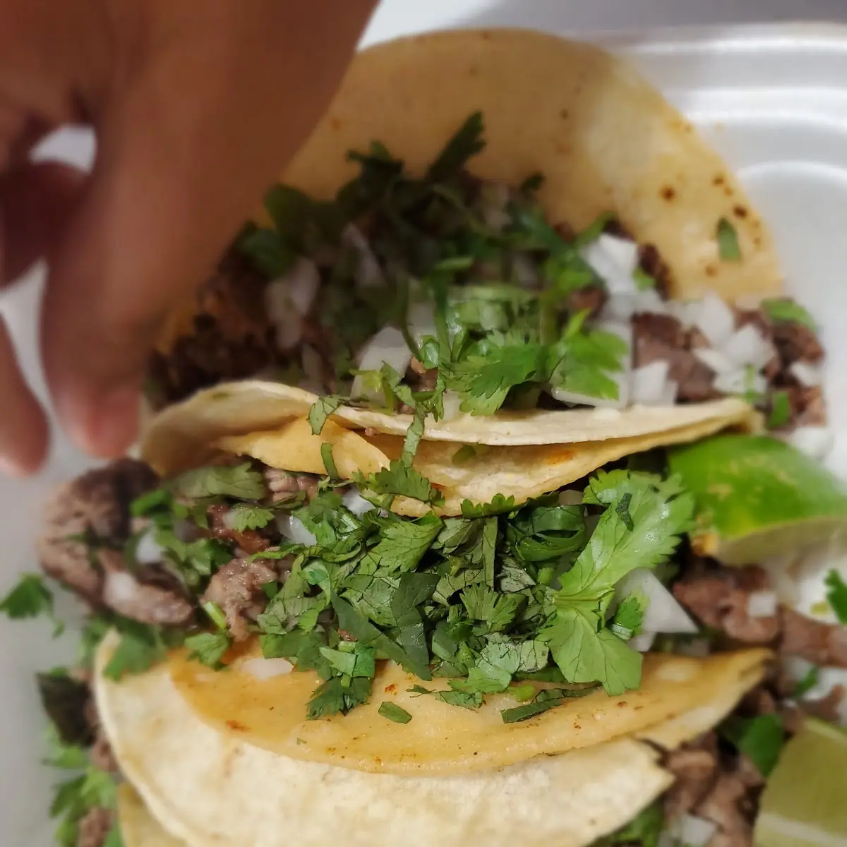 steak enchiladas