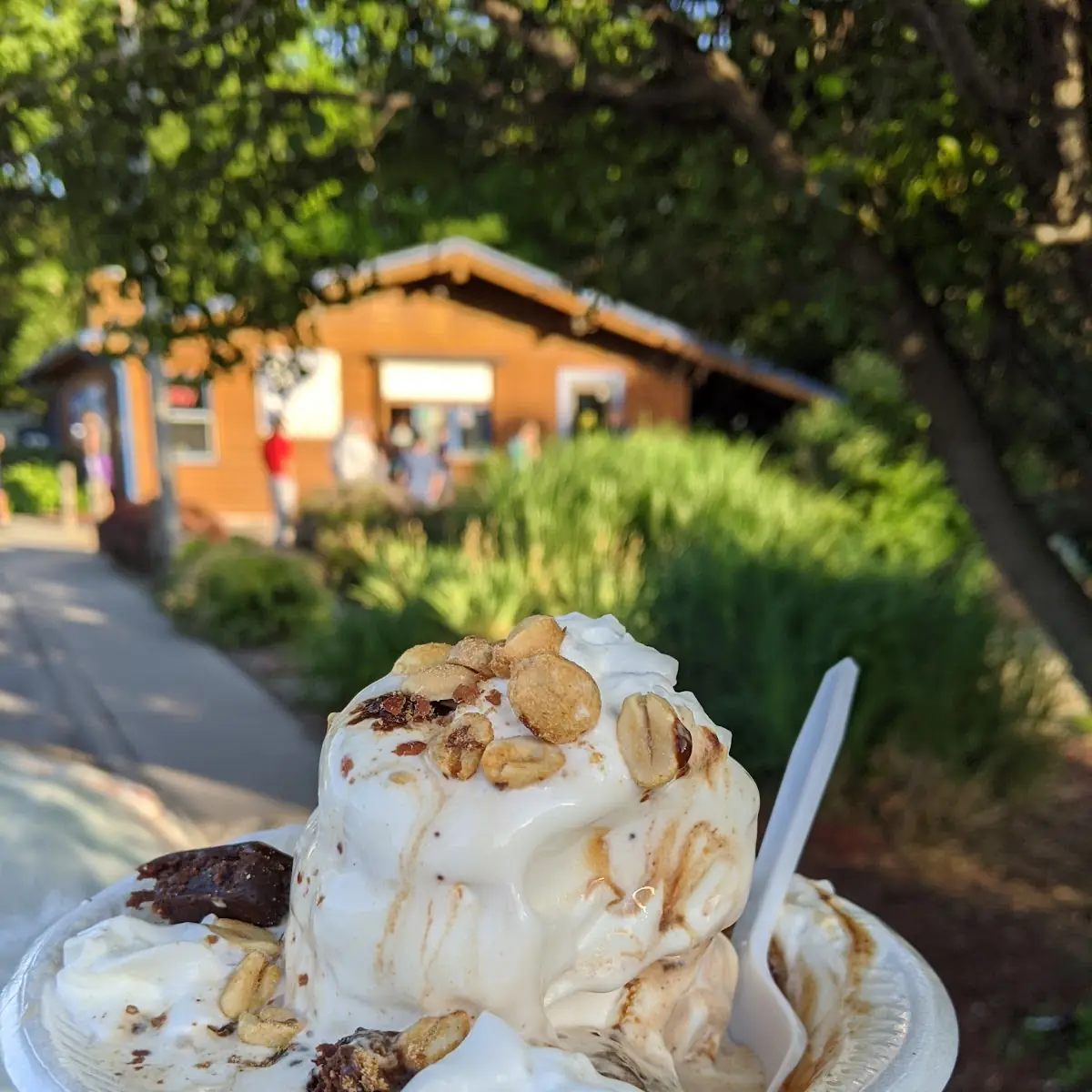 Brownie Sundae