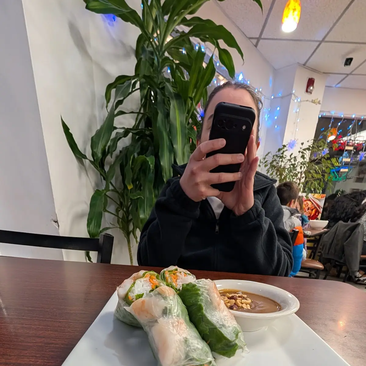 Shrimp Summer Rolls