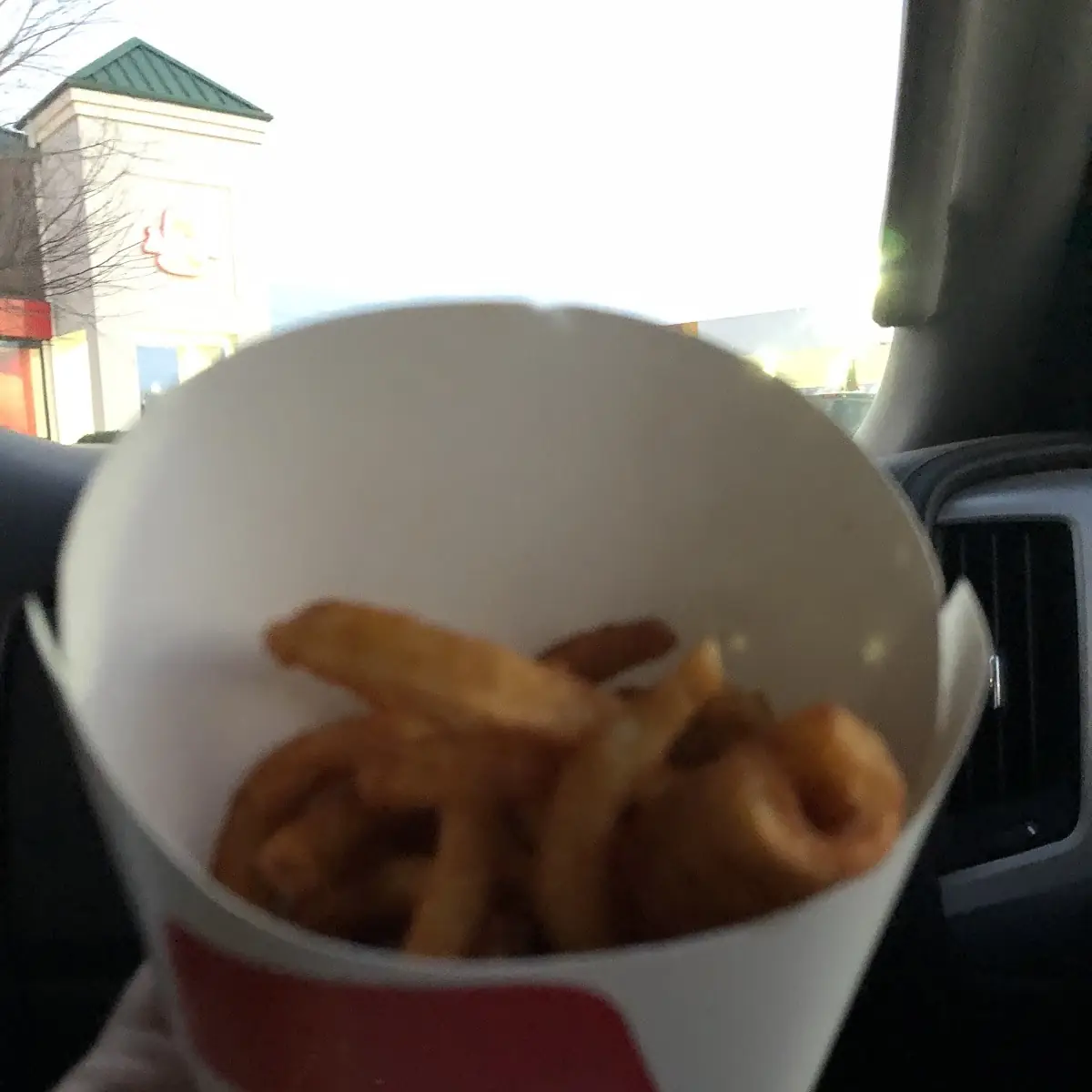 Half Filled Large Curly Fry