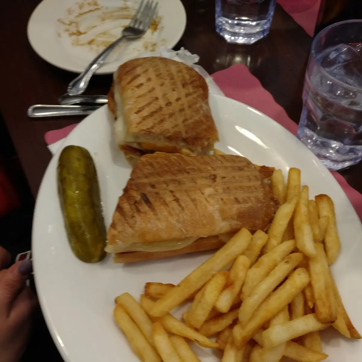 Chicken Swiss Cheese Panini