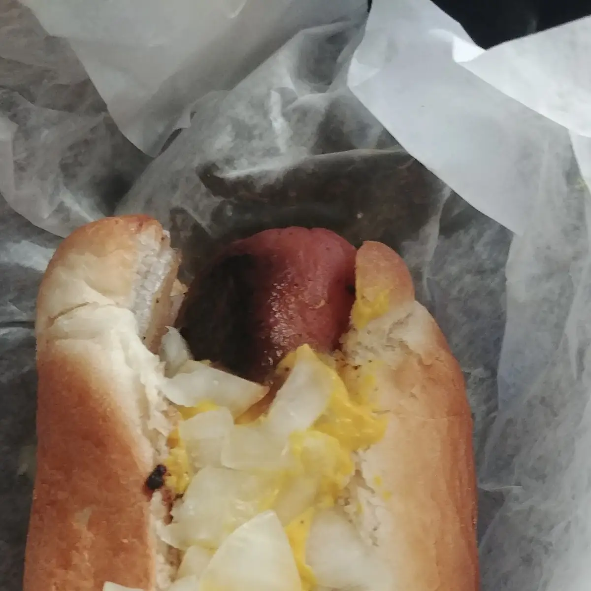 Hot Dog