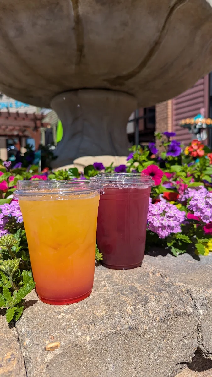 Hibiscus Iced Tea Seasonal