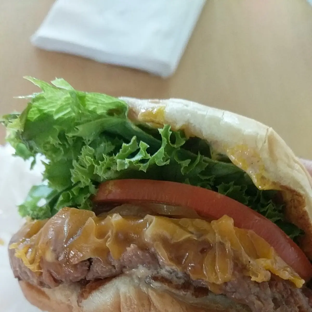 Veggie Burger