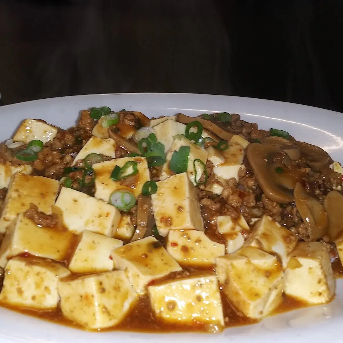 Mapo Tofu over Rice