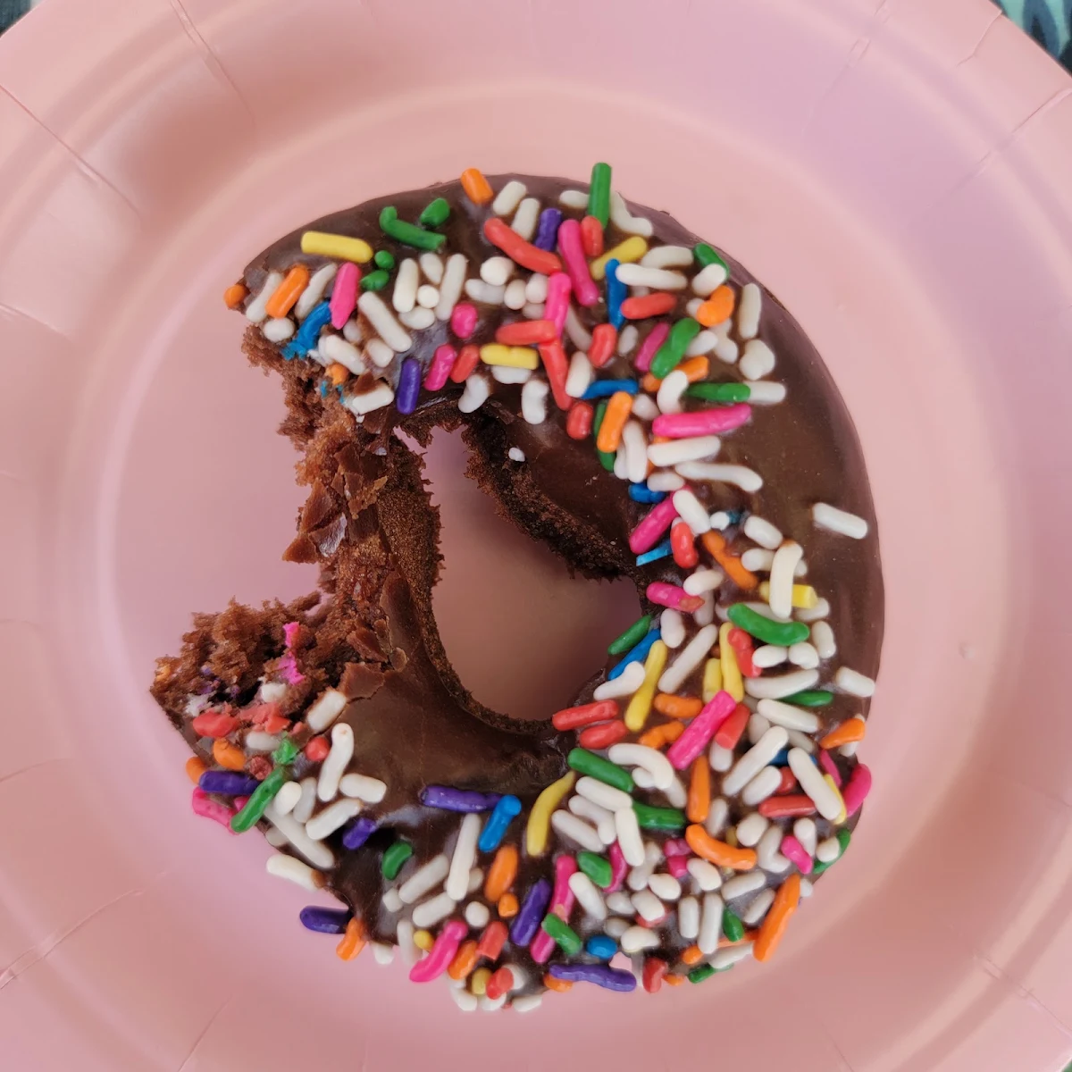 Sprinkled Chocolate Donut