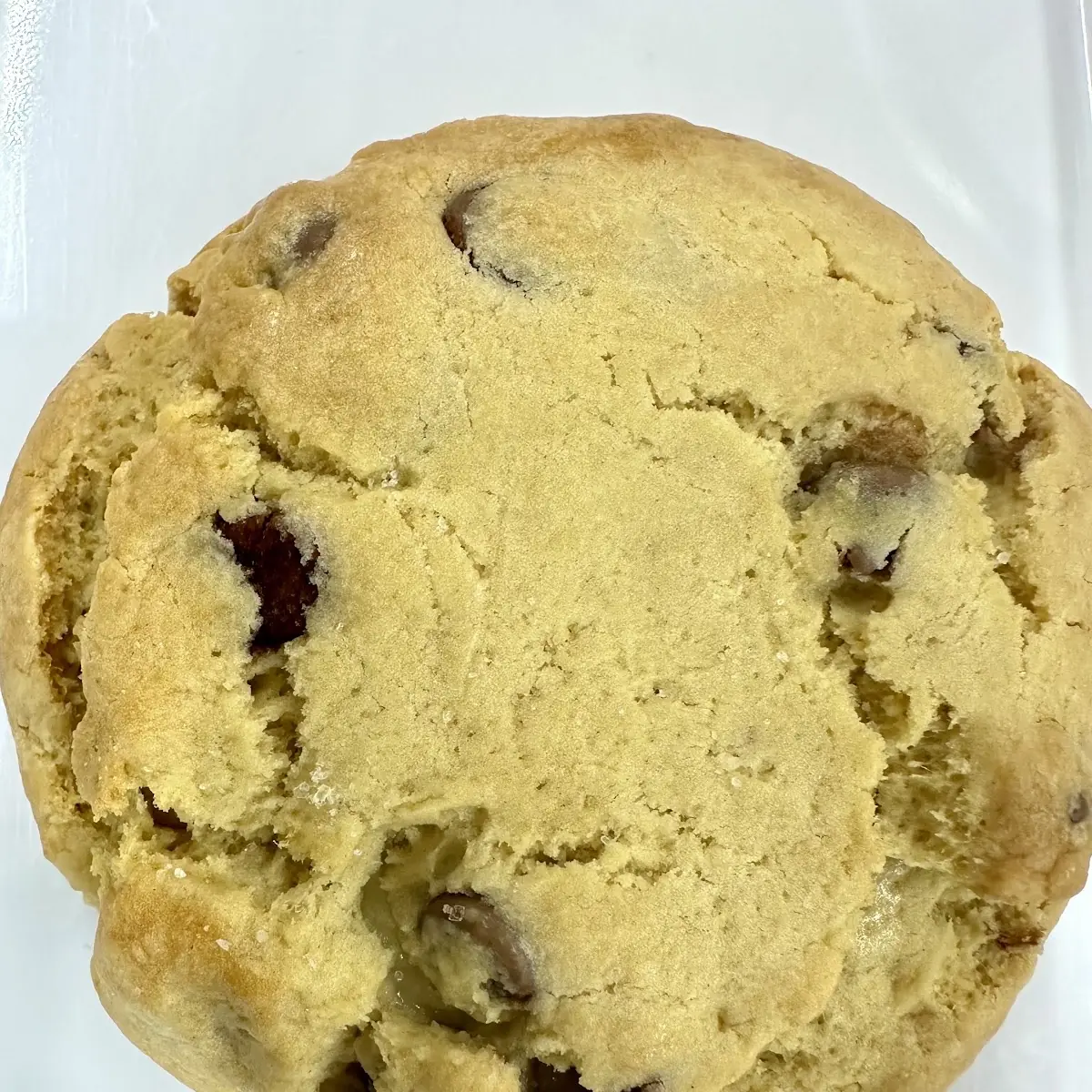Chocolate Chip Cookie