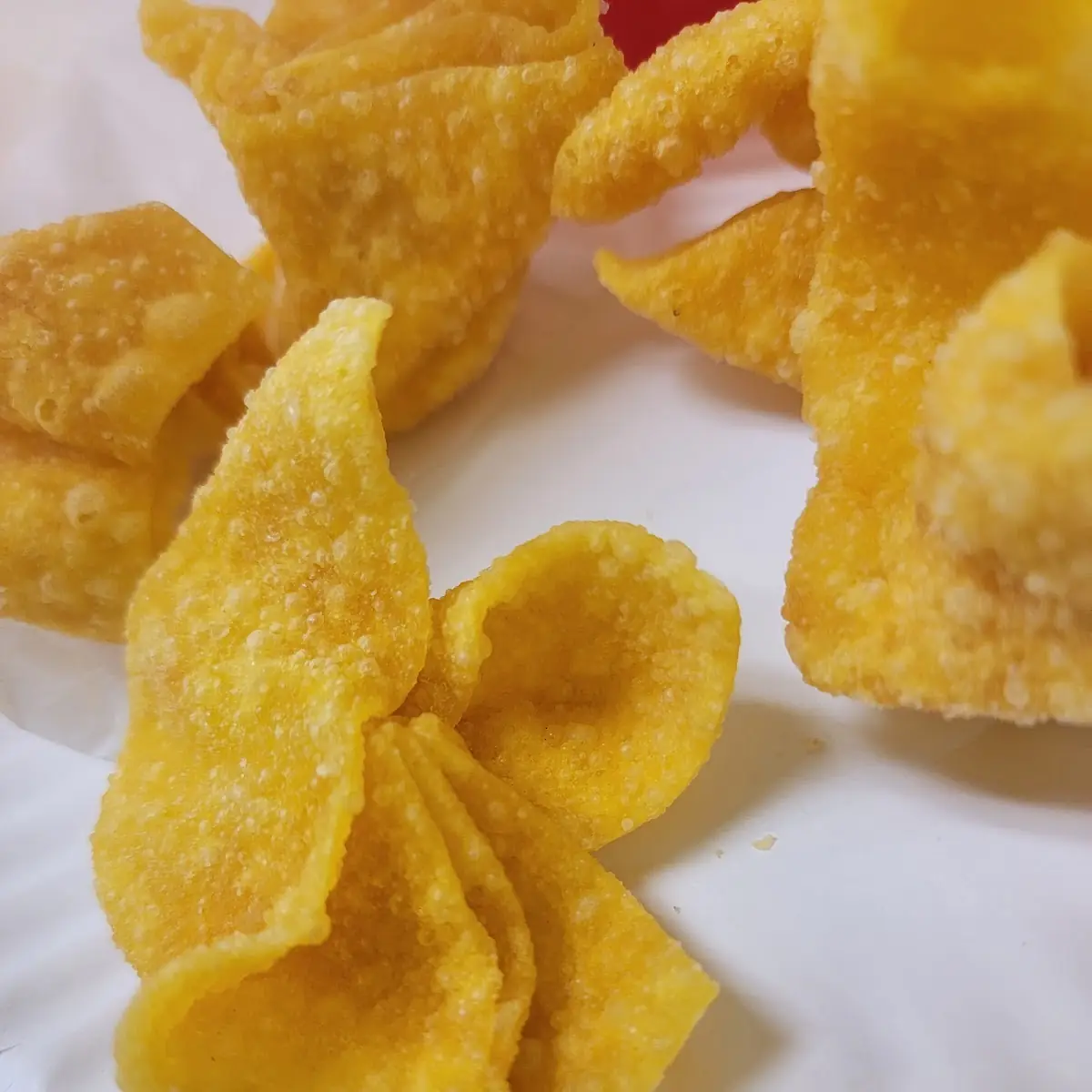 Fried Wonton