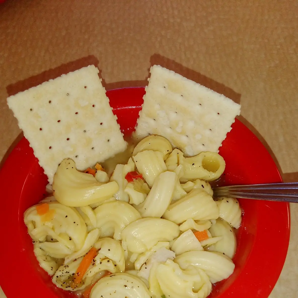 Chicken Noodle Soup