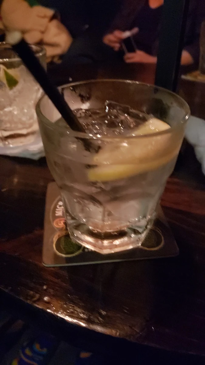 Gin Tonic with Lemon