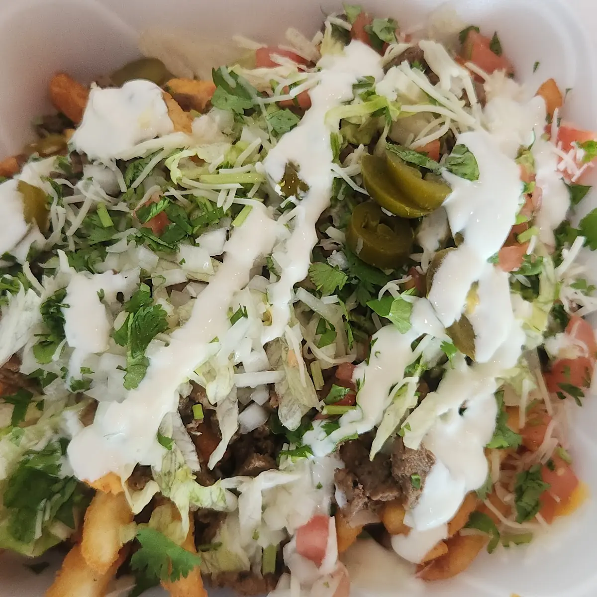 Asada Fries