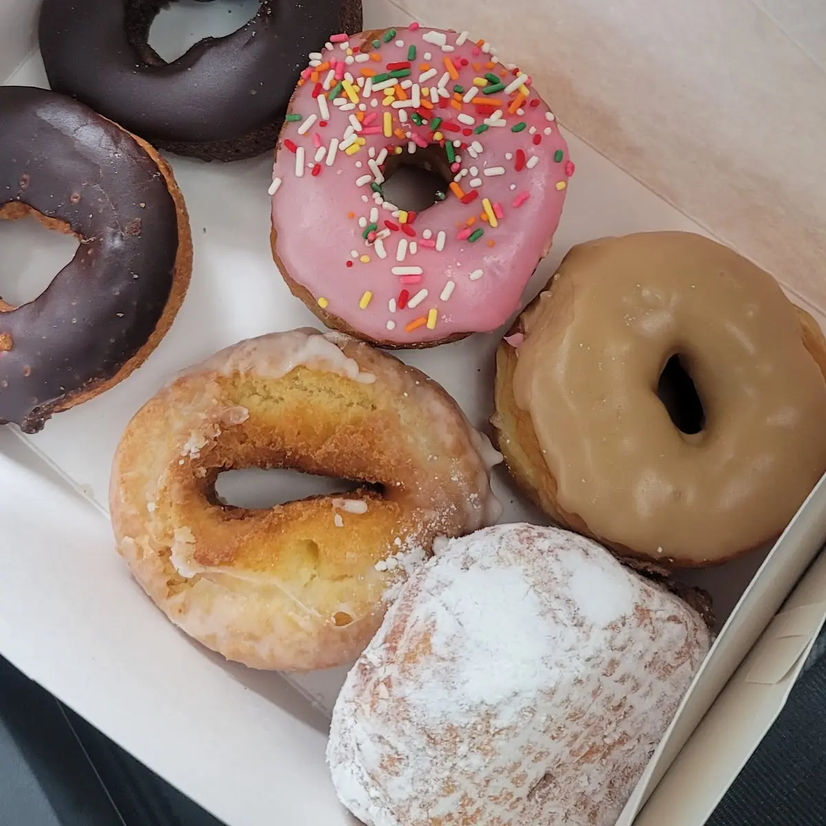 Doughnut
