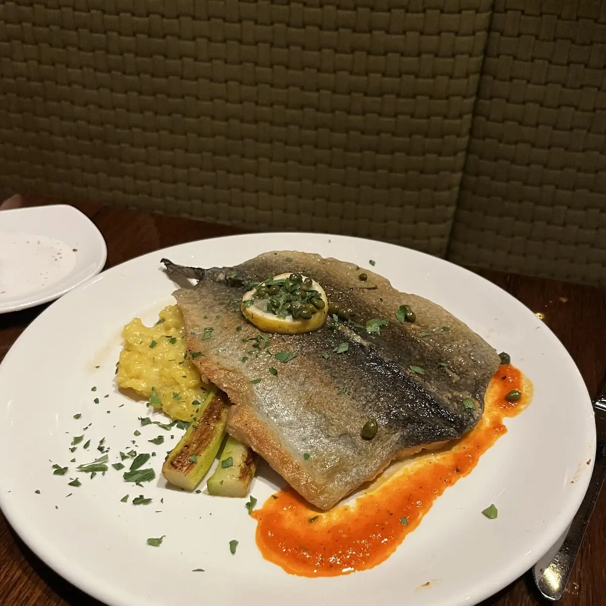 Rainbow Trout