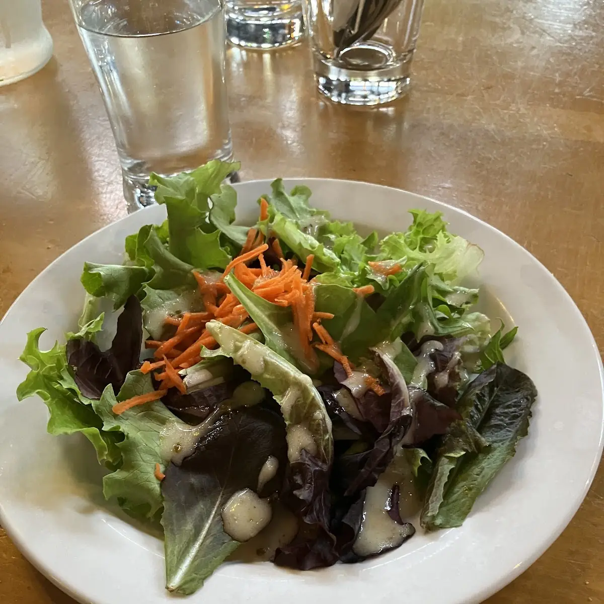 Garden Salad