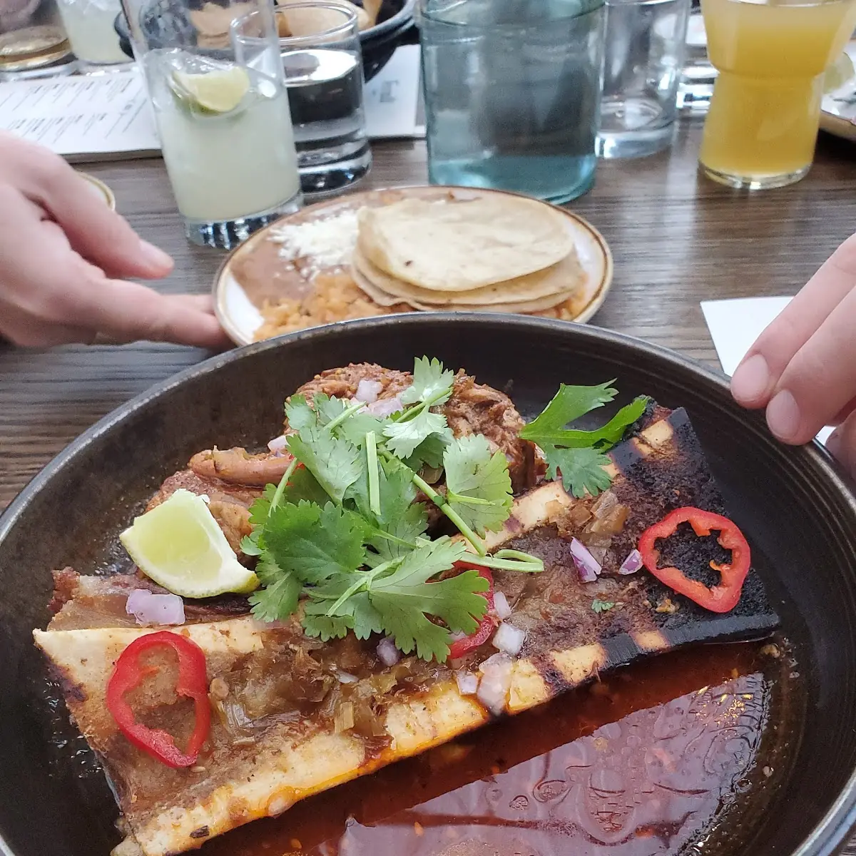 Bone Marrow