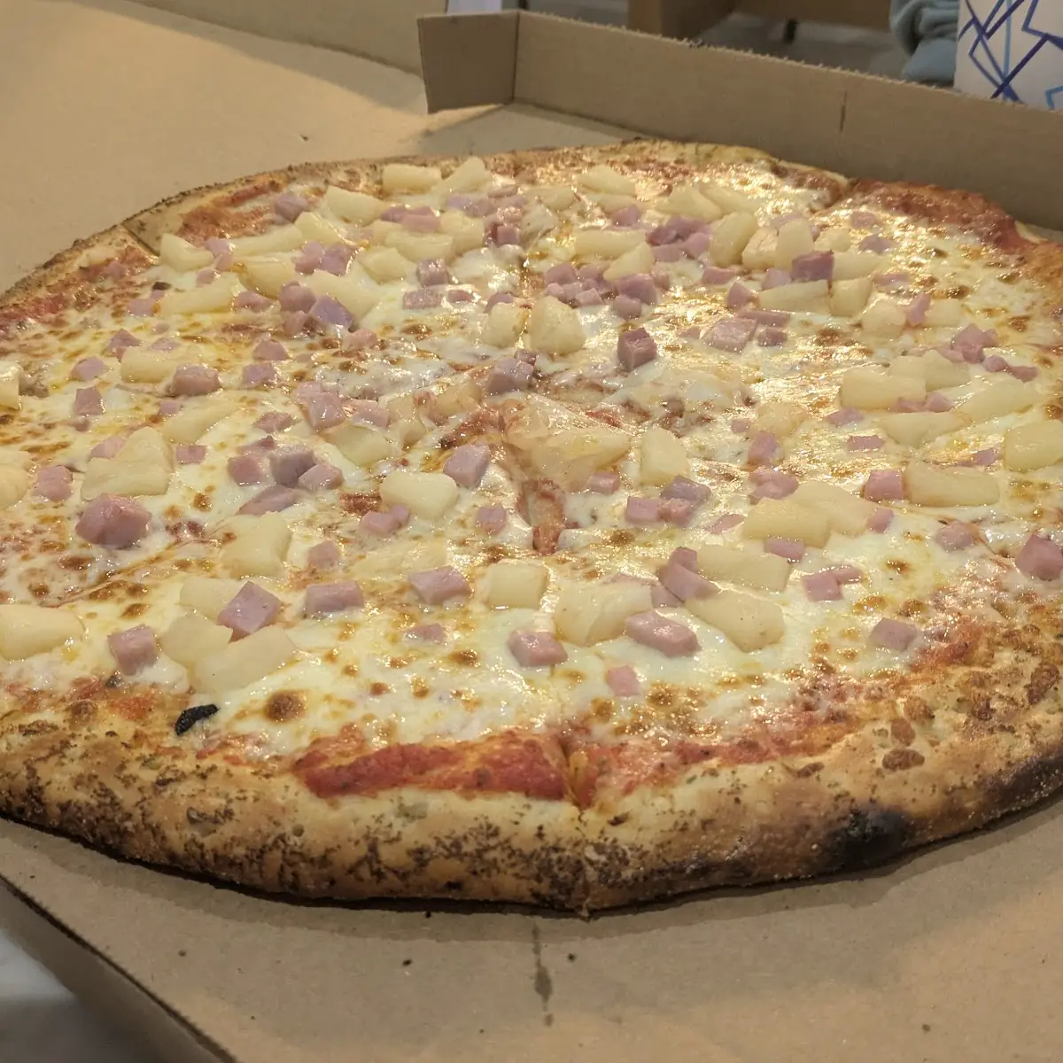 Whole Alfredo Pizza