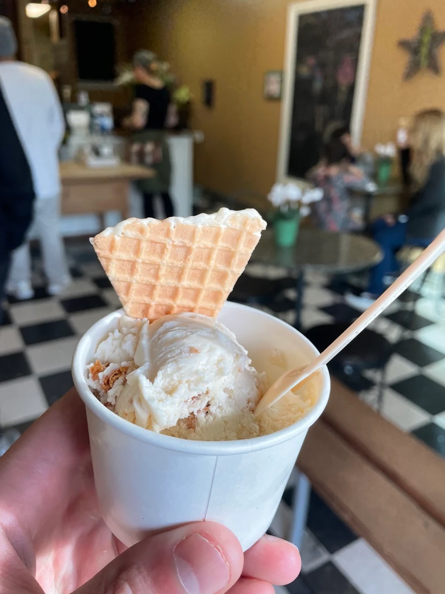 Ginger Snap Ice Cream