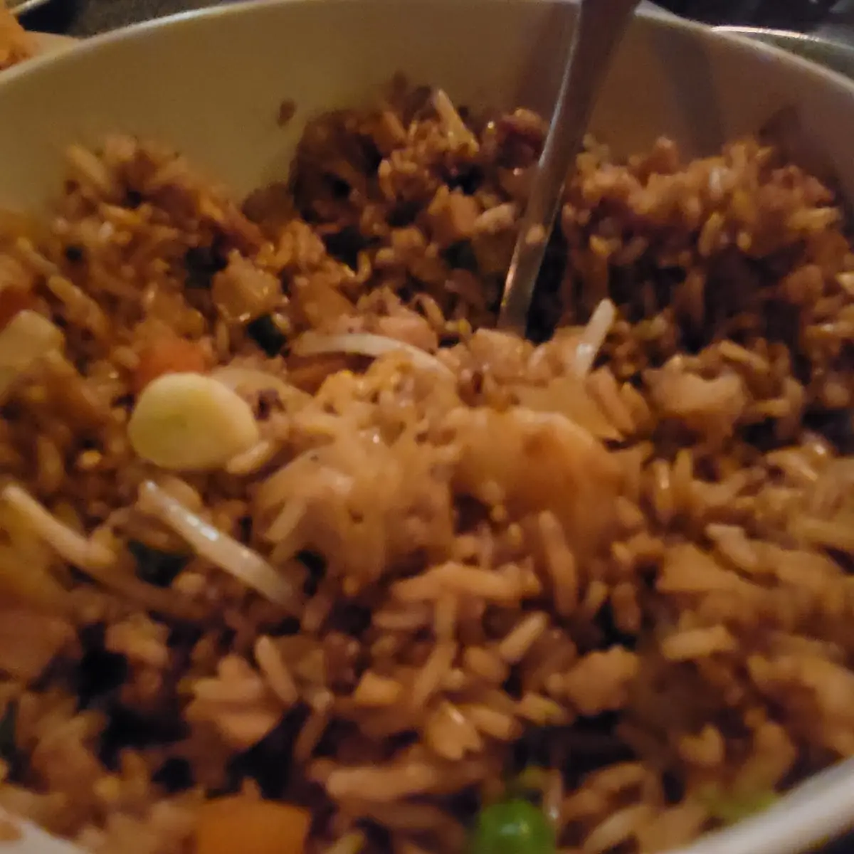 Special Fried Rice