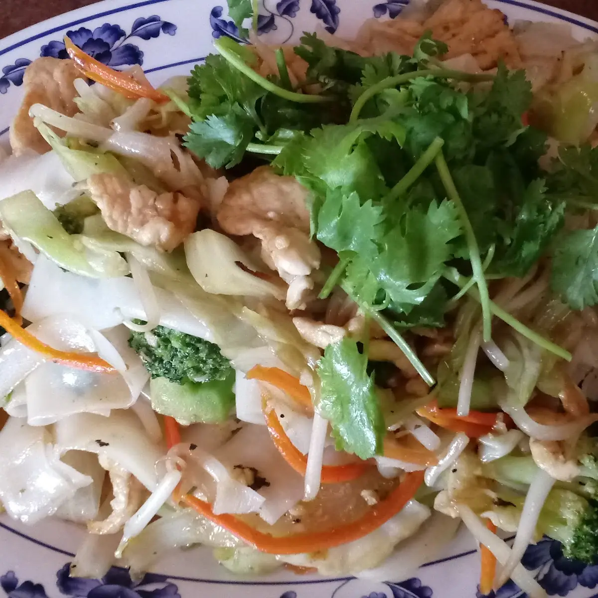 Vermicelli and Chicken Pho