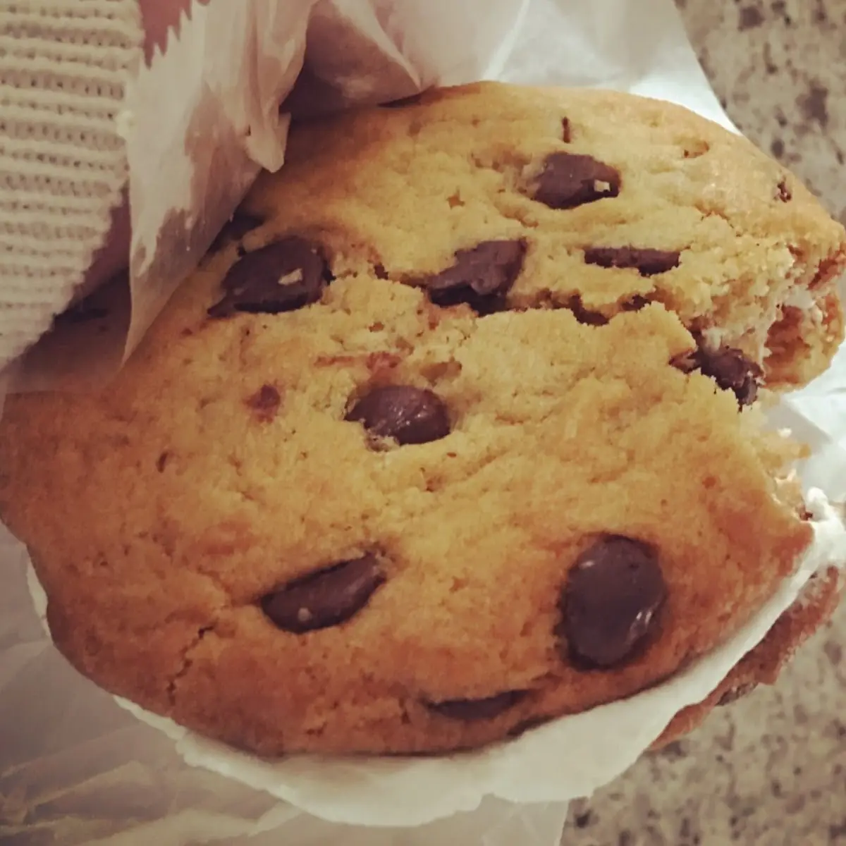 Chocolate Chip Cookie