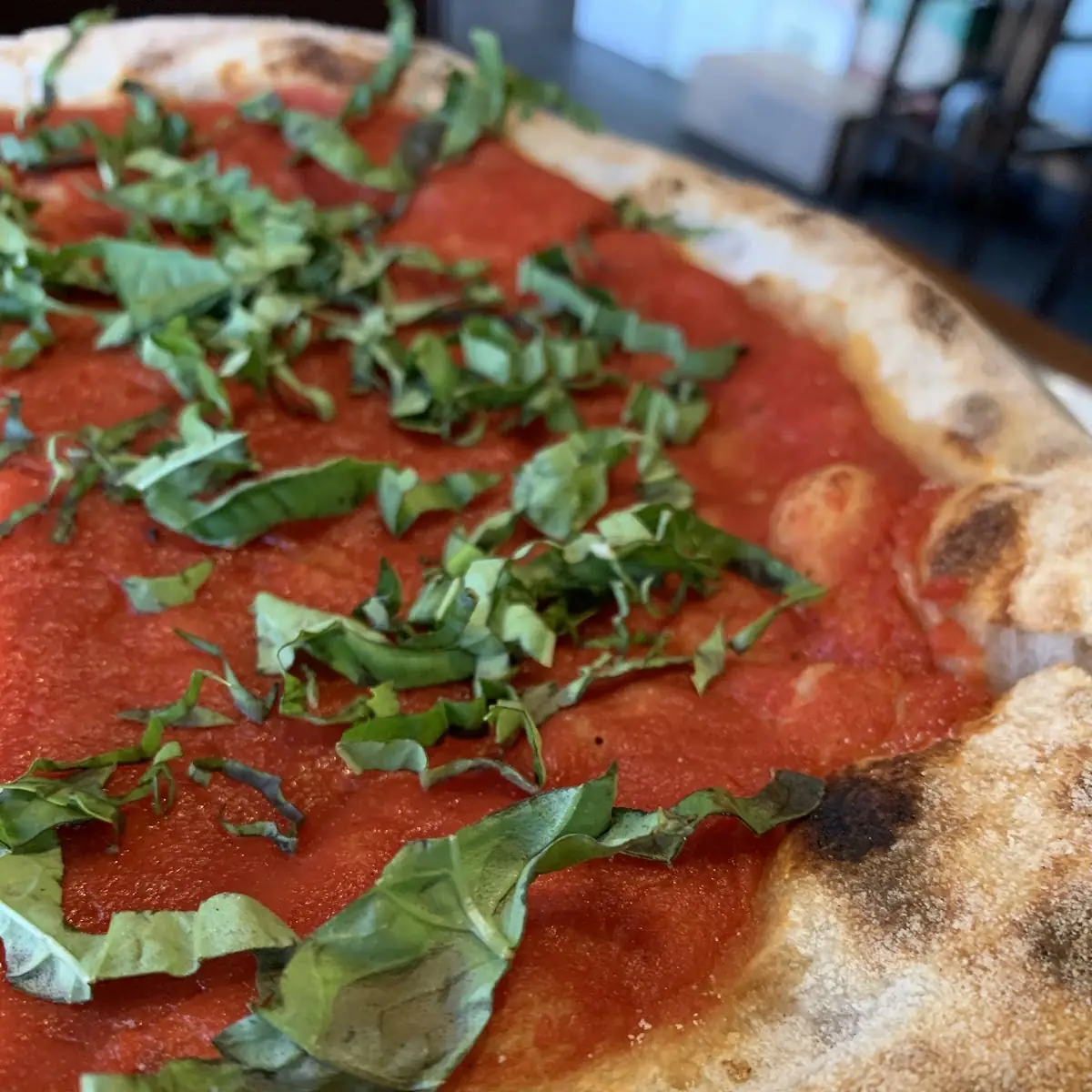 Margarita Pizza Special