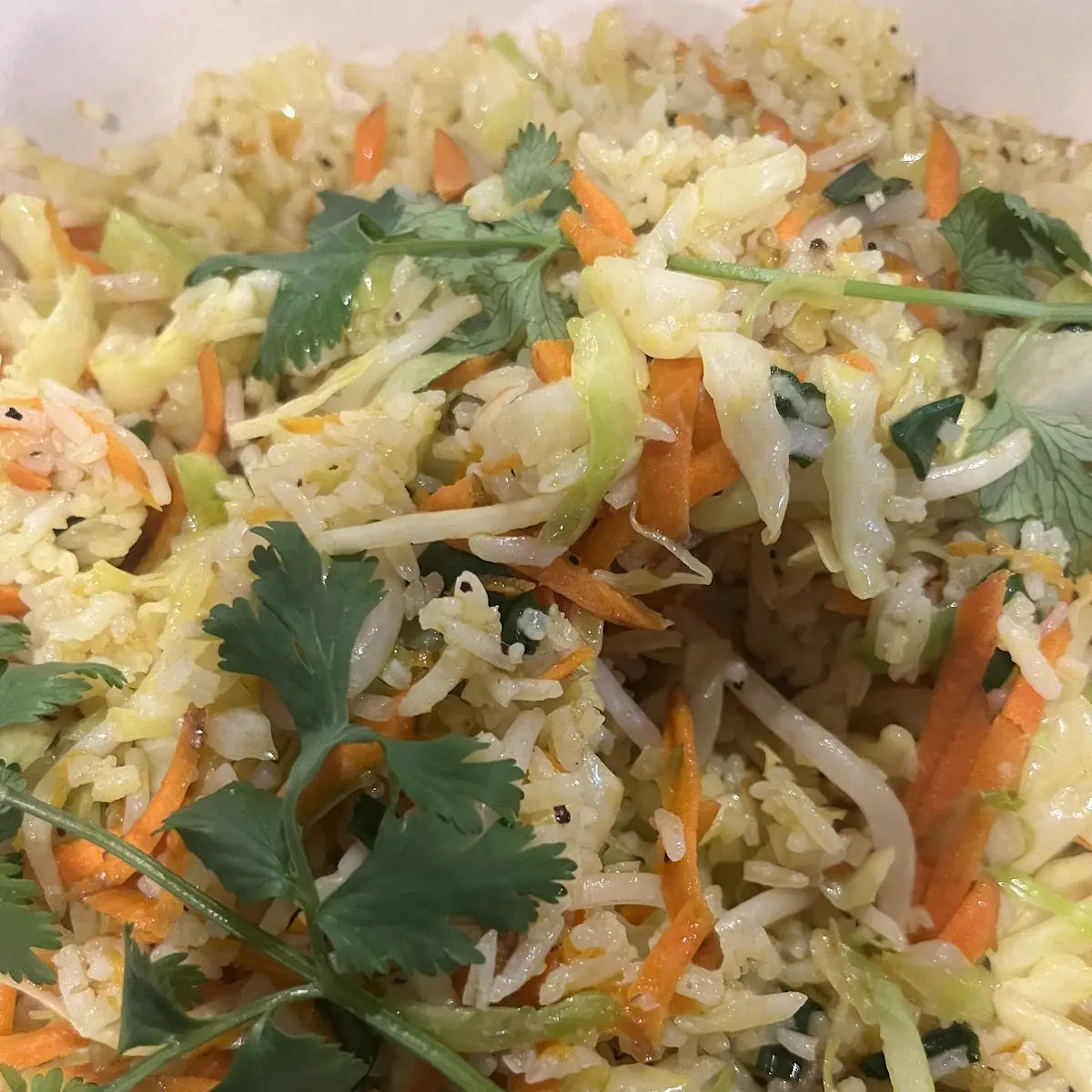 Veg Fried Rice