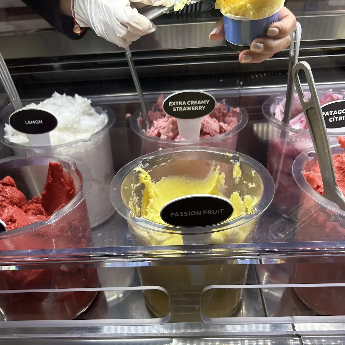 Passion Fruit Sorbet