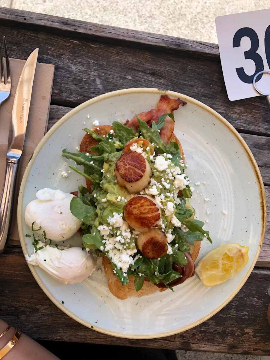 Seared Scallops, Pool Coffee Eatery
