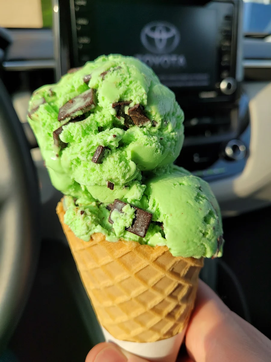 Mint Chocolate Ice Cream Cone